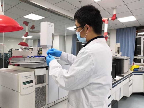 中國農科院發布三大領域重大成果 聚焦產品創制、技術突破與智庫報告，引領農業科技創新